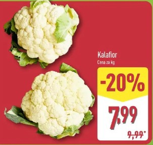 Kalafior
