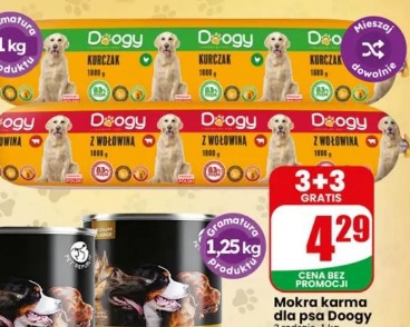 Mokra karma dla psa Doogy
