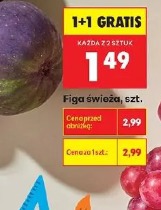 Figa świeża