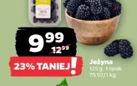 Jeżyna