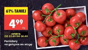 Pomidory na gałązce