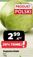 Kapusta biała