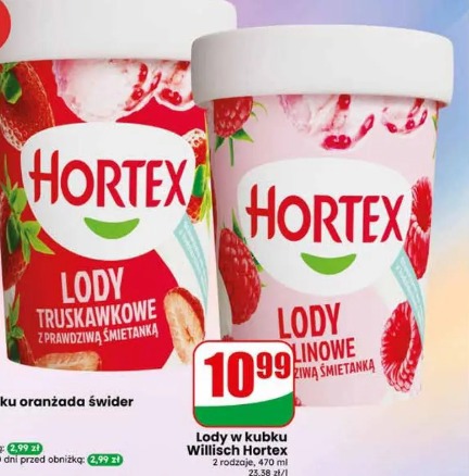 Lody w kubku Willisch Hortex