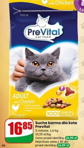 Sucha karma dla kota Prevital