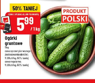 Ogórki gruntowe