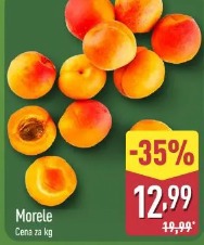 Morele