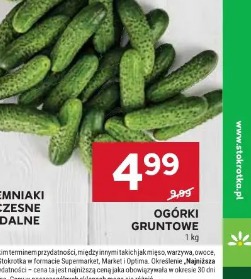 Ogórki gruntowe