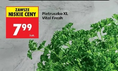 Pietruszka XL Vital Fresh