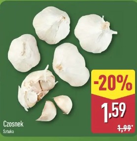 Czosnek