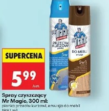 Mr Magic spray czyszczący 300 ml