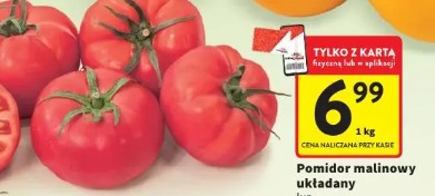 Pomidor malinowy układany 