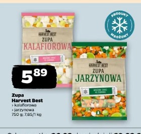 Zupa Harvest Best