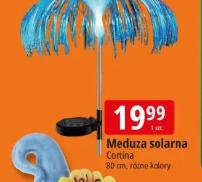 Meduza solarna Cortina