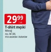 T-shirt męski Moraj