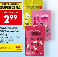 Mus Owolovo 100% owoców