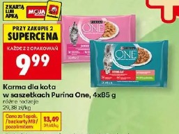 Karma dla kota w saszetkach Purina One