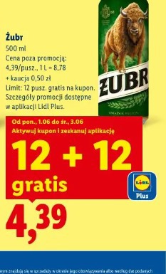 Żubr 