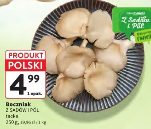 Boczniak Z SADÓW I PÓL tacka