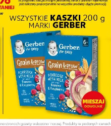 Wszystkie kaszki marki Gerber