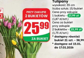 Tulipany