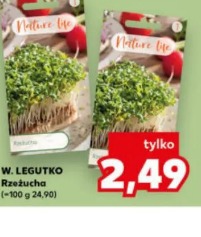 W. Legutko Rzeżucha