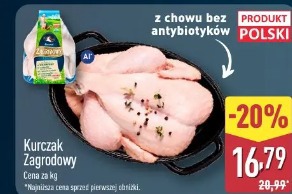 Kurczak zagrodowy 