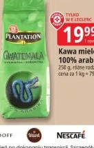 Kawa mielona 100% arabika Plantation