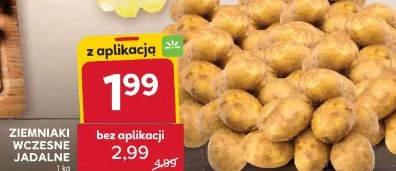 Ziemniaki wczesne jadalne 