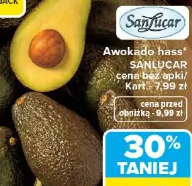Awokado hass Sanlucar