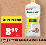Płyn do mycia naczyń Ludwik
