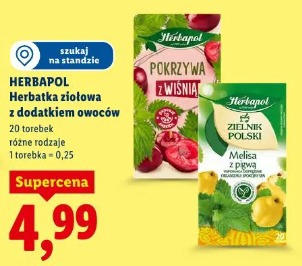 Herbapol Herbatka ziołowa z dodatkiem owoców