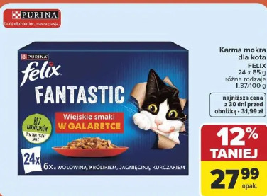 Karma mokra dla kota Felix Fantastic