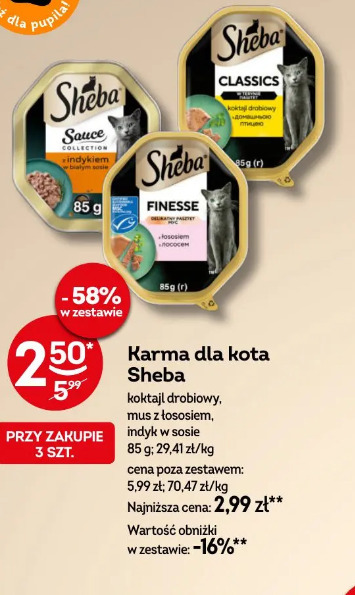Karma dla kota Sheba