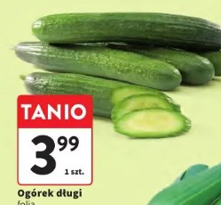 Ogórek długi folia