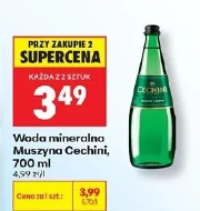 Woda mineralna Muszyna Cecchini