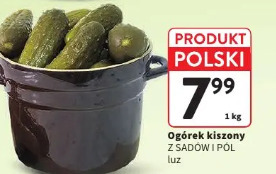 Ogórek kiszony z Sadów i Pól