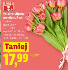 Polskie tulipany premium, 9 szt.
