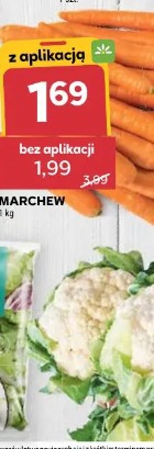 Marchew