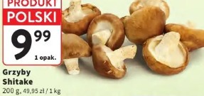Grzyby Shitake