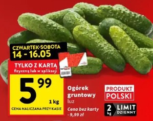 Ogórek gruntowy