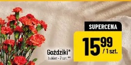 Goździki bukiet