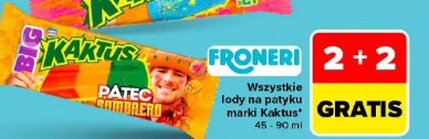Wszystkie lody na patyku marki Kaktus Froneri