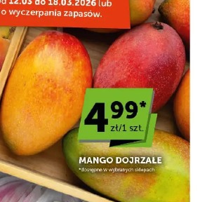 Mango dojrzałe