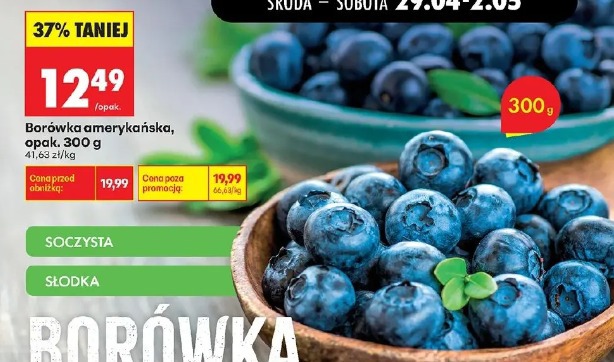 Borówka amerykańska