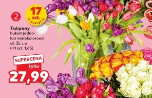 Tulipany bukiet jedno- lub wielokolorowy