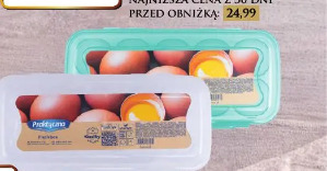 Pojemnik na jajka Florentyna