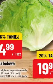 Sałata lodowa