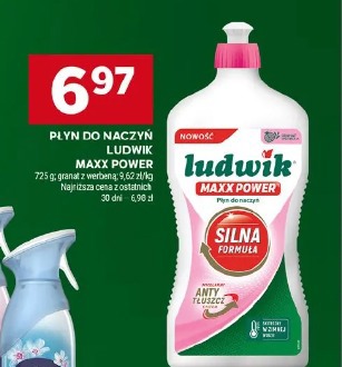 Płyn do naczyń Ludwik Maxx Power