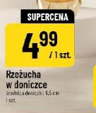 Rzeżucha w doniczce