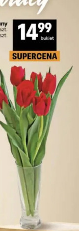 Tulipany